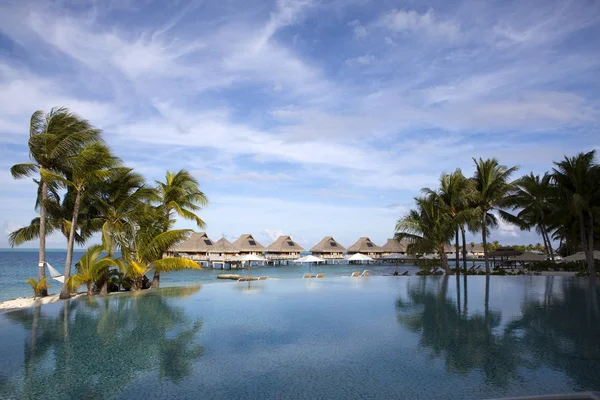 Poolen Palmer Stranden Polynesien Tahiti — Stockfoto