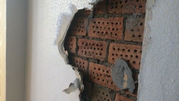 The young woman does repair in the apartment. The worker a hand tool breaks off an old wall covering under which the brick wall is visible — Stock Video