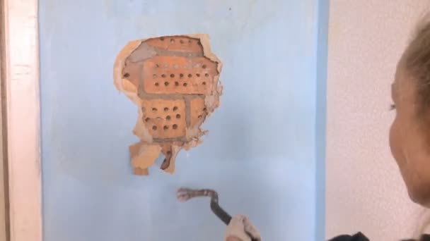 The young woman does repair in the apartment. The worker a hand tool breaks off an old wall covering under which the brick wall is visible — Stock Video