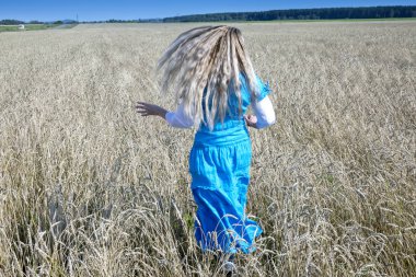 uzun sarı saçları bir yaz günü altın buğday kulakları bir alanda rüzgarda çırpınan parlak mavi elbiseli ince genç kadın
