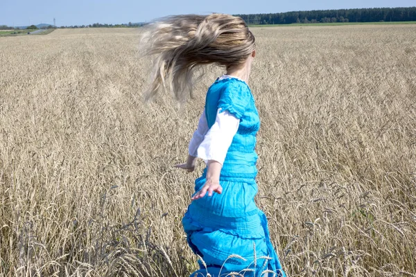 夏の日に金色の小麦の耳のフィールドで風に揺れる長いブロンドの髪を持つ明るい青いドレスを着た細い若い女性 — ストック写真