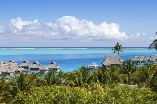 Frans Polynesië Water Bungalows Palmboom — Stockfoto