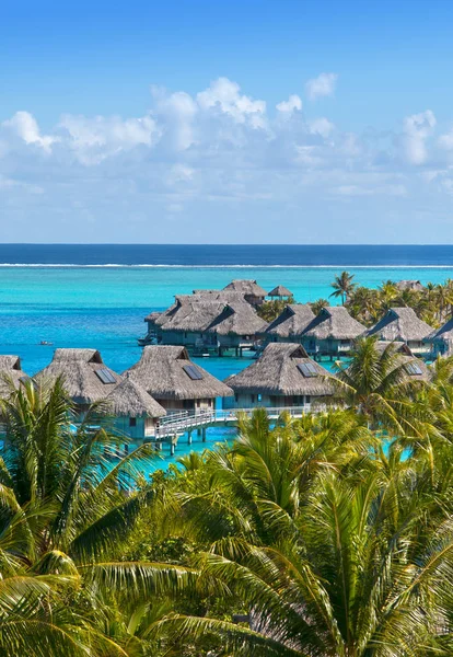 French Polynesia Water Bungalows Palm Tree — Stock Photo, Image