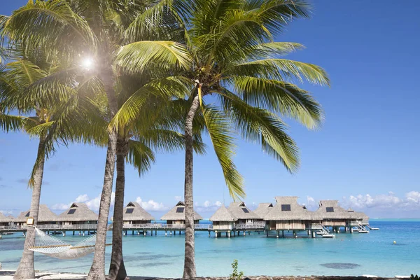 Blick Auf Den Sandstrand Mit Palmen Und Hängematte Bora Bora — Stockfoto