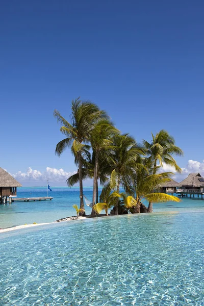 Utsikt Över Sandstranden Med Palmer Och Pool Bora Bora Franska — Stockfoto