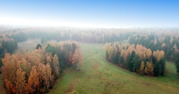 秋林鸟瞰图 秋天的风景与红色 黄色和绿色的树木和田野与修剪草在阳光明媚的日子 — 图库视频影像