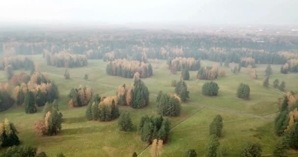 Вид Воздуха Осенний Лес Осенний Пейзаж Красными Желтыми Зелеными Деревьями — стоковое видео