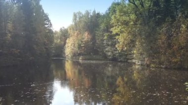 Sonbaharın başlarında bir orman gölünün kıyısında. Havada yağmur damlaları. Ördekler uçuşa hazırlanırken suda yüzer