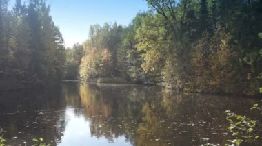 Sonbaharın başlarında bir orman gölünün kıyısında. Havada yağmur damlaları. Ördekler uçuşa hazırlanırken suda yüzer