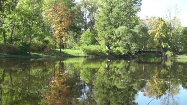 Slunečný Den Břehu Lesního Jezera Začátkem Podzimu Vodě Odrážejí Stromy — Stock video