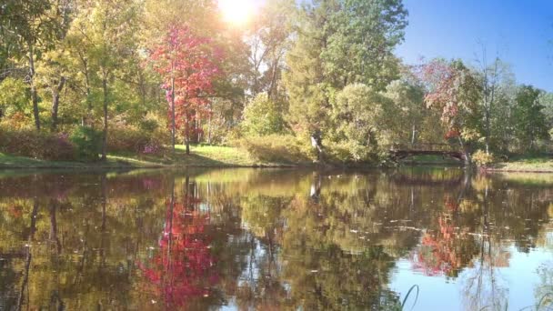 Journée ensoleillée sur la rive d'un lac forestier au début de l'automne. Les arbres aux feuilles vertes, jaunes et rouges se reflètent dans l'eau. Les feuilles des arbres tombent dans l'étang 