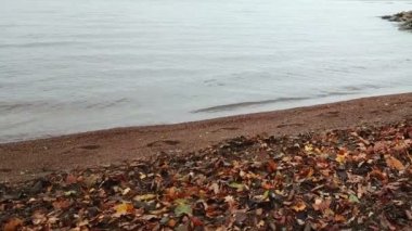 Kumlu plaj ve Finlandiya Körfezi kıyısında drone görünüm, ufukta St Petersburg bölgeleri