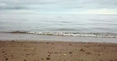 Kumlu plaj ve Finlandiya Körfezi kıyısında drone görünüm, ufukta St Petersburg bölgeleri