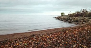 Kumlu plaj ve Finlandiya Körfezi kıyısında drone görünüm, ufukta St Petersburg bölgeleri