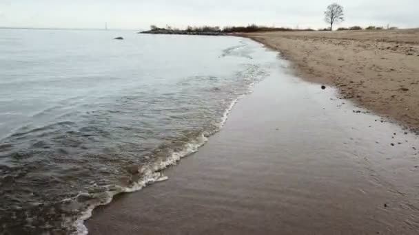 砂浜とフィンランド湾の海岸のドローンからの眺め 地平線上にサンクトペテルブルクの地区 — ストック動画