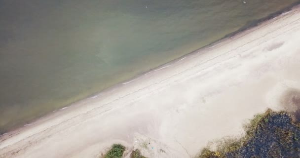 从无人机上看到沙滩和芬兰湾海岸的地平线上的圣彼得堡区 — 图库视频影像