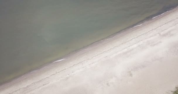 Vue depuis le drone sur la plage de sable et la côte du golfe de Finlande, à l'horizon les quartiers de Saint-Pétersbourg 