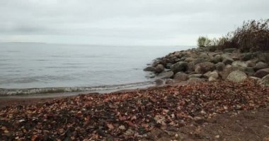 Kumlu plaj ve Finlandiya Körfezi kıyısında drone görünüm, ufukta St Petersburg bölgeleri