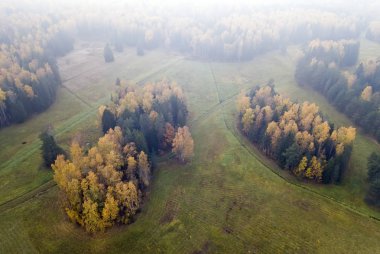 parkta güzel sonbahar ağaçlarının drone görünümü. Rusya, Petersburg