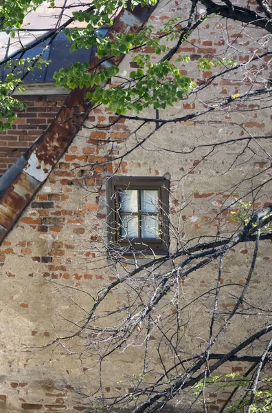 Eenzame Raam Een Oude Bakstenen Gebouw Muur Riga Letland — Stockfoto