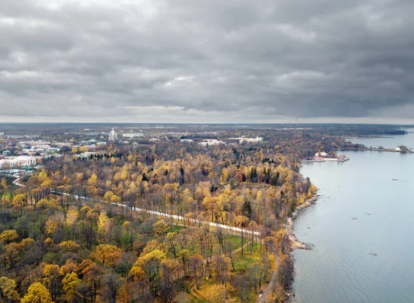曇りの日にフィンランド湾のほとりに宮殿を持つサンクトペテルブルクの秋の郊外公園のドローンビュー — ストック写真
