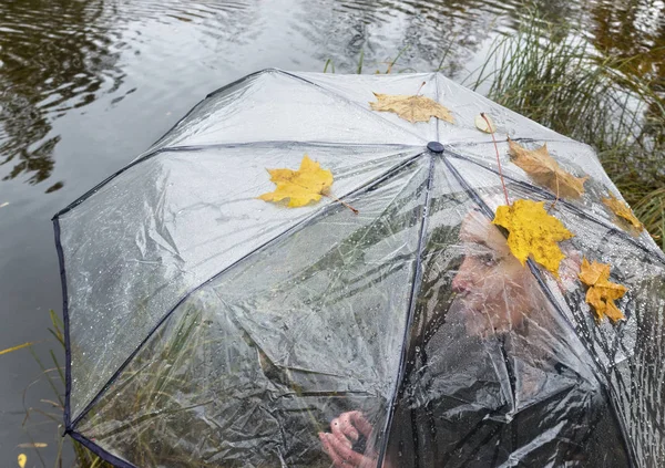 Frau Unter Einem Durchsichtigen Regenschirm Einem Bewölkten Herbsttag See Shor — Stockfoto