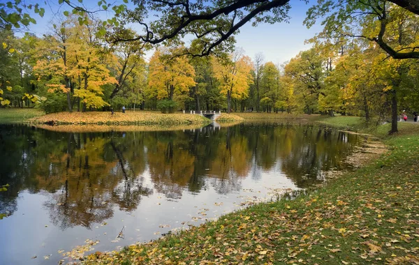 Most Przez Rzekę Jesiennym Parku — Zdjęcie stockowe