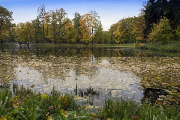 Der Fluss Herbstpark — Stockfoto