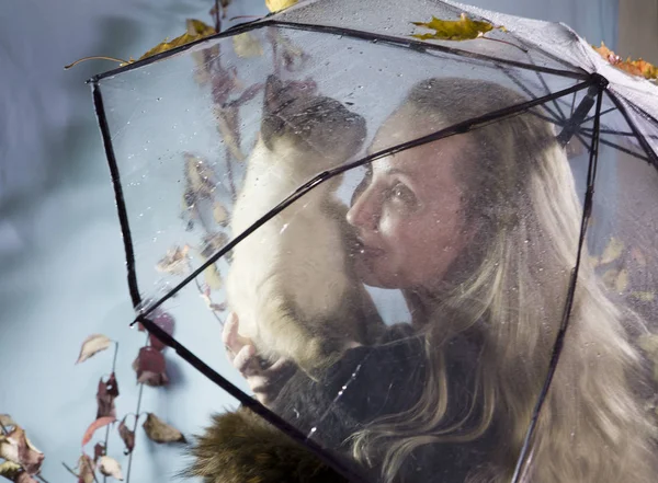 女人在透明伞下 雨滴抱着一只猫 软对焦 — 图库照片