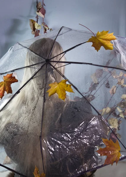 Donna Sotto Ombrello Trasparente Con Foglie Autunnali Concentrazione Morbida — Foto Stock