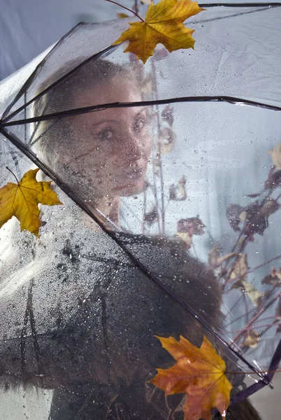 Woman Transparent Umbrella Autumn Leaves Soft Focus — Stock Photo, Image