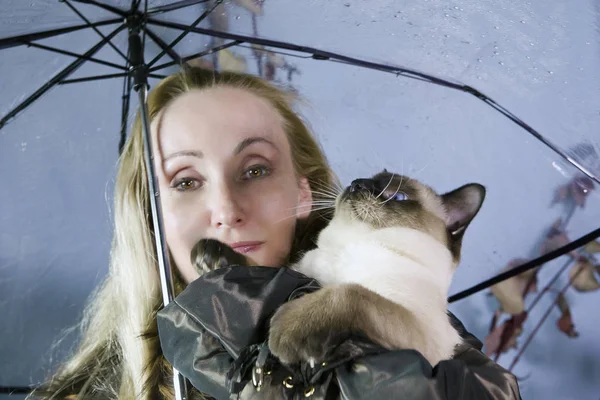 女人在透明伞下 雨滴抱着一只猫 — 图库照片