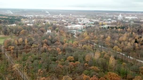 Вид Дрона Парк Лоуэр Александрийский Парк Финский Залив Пригородах Санкт — стоковое видео