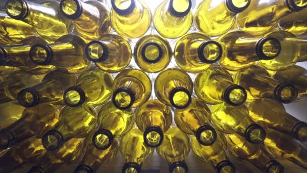 Dolly zoom, tomma bruna ölflaskor, den översta vyn på en vit bakgrund — Stockvideo