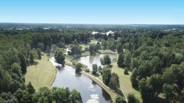 Top view from drone to Pavlovsk Palace, 18 century, Russian Imperial residence temple of Friendship the rotunda pavilion of Pavlovsk Park It is built in a bend of the Slavyanka River Russia — Stock Video