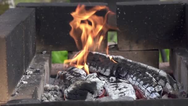 木製の丸太は通りの火鉢で燃焼し 木製の棚は田舎の家の領土でストリートマンガルで燃焼し 野焼きの準備のための石炭の準備 バーベキュー — ストック動画