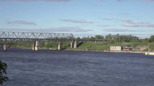 El puente ferroviario sobre el río Volkhov. Rusia, Las gaviotas son capaces de volar sobre el agua del río para el día soleado de verano, Dolly zoom — Vídeo de stock