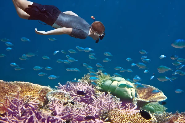 Maldivas Homem Com Máscara Tubo Oceano Peixes Tropicais Corais — Fotografia de Stock