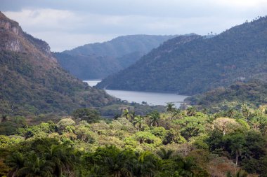 Tropikal doğa üzerine panoramik görüş. Küba