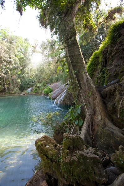 Fiume Nel Parco Soroa Cuba — Foto Stock