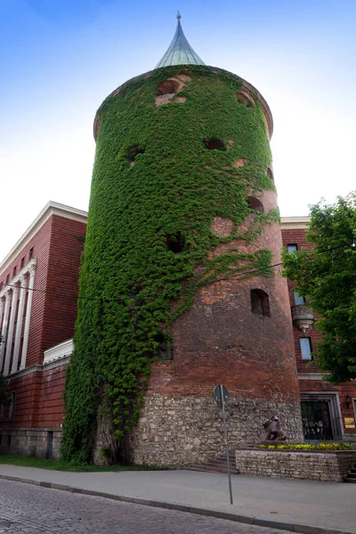 Pulvertornis Eller Powder Tower Del Försvarssystemet Medeltida Staden Riga Lettland — Stockfoto