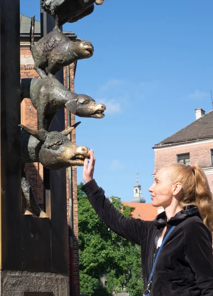 woman touches the nose of a cow for luck at the monument to the Bremen Town Musicians - a fairy tale by the brothers Grimm, Riga, Latvia