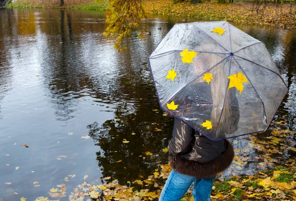 Frau Unter Regenschirm Steht Ufer Eines Herbstsees — Stockfoto