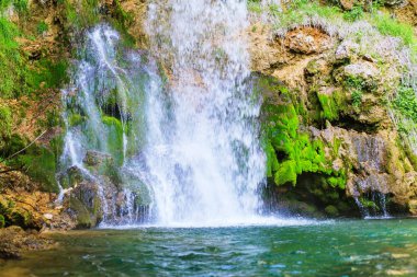 Bahar, yaz, orman akarsu dere, Doğu Sırbistan, Europe güzel şelale