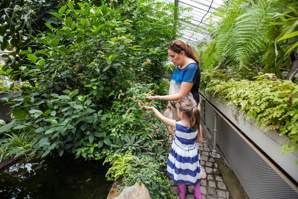Matka Děti Dívají Rostliny Skleníku Botanické Zahrady — Stock fotografie