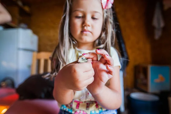 Little Girl Holds Hands Baby Quail Poultry Farm — Stock Photo, Image