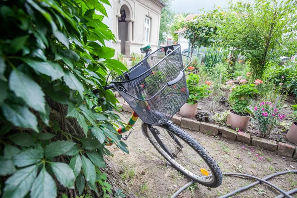 Retro Vintage Kolorowe Rowerów Podwórku — Zdjęcie stockowe