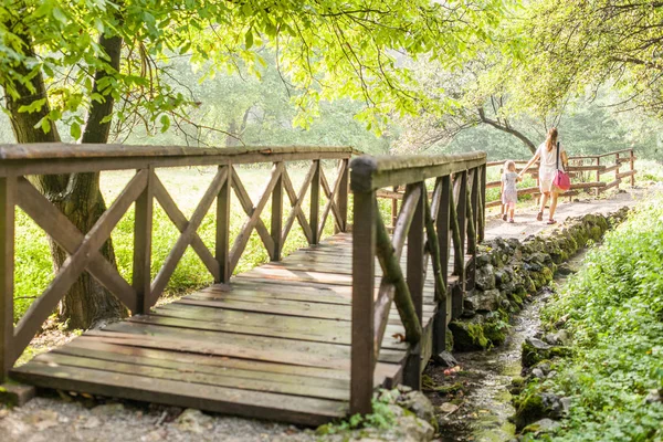 Yaz günü doğa, orman içinde ahşap köprü