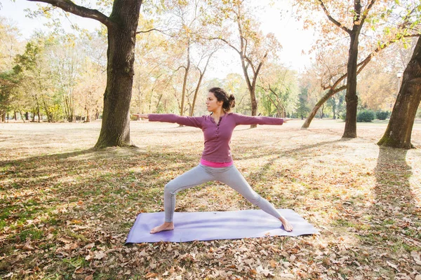 在公园里美丽的秋日 在战士练习瑜伽练习的年轻女子 健康的生活方式动机 — 图库照片