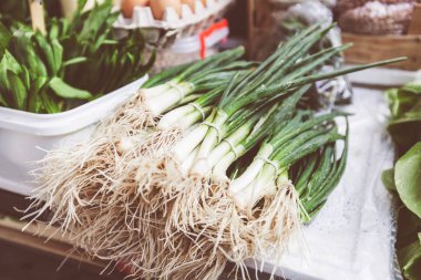  Yerel çiftçiler pazarında yeşil soğan 